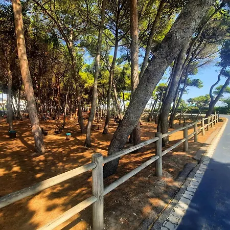 Pinolo Trilo Int 8 - Myho Casa 阿尔巴·阿德里亚蒂卡