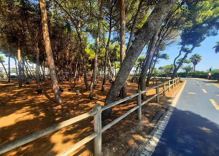 Pinolo Trilo Int 8 - Myho Casa アルバ・アドリアティカ